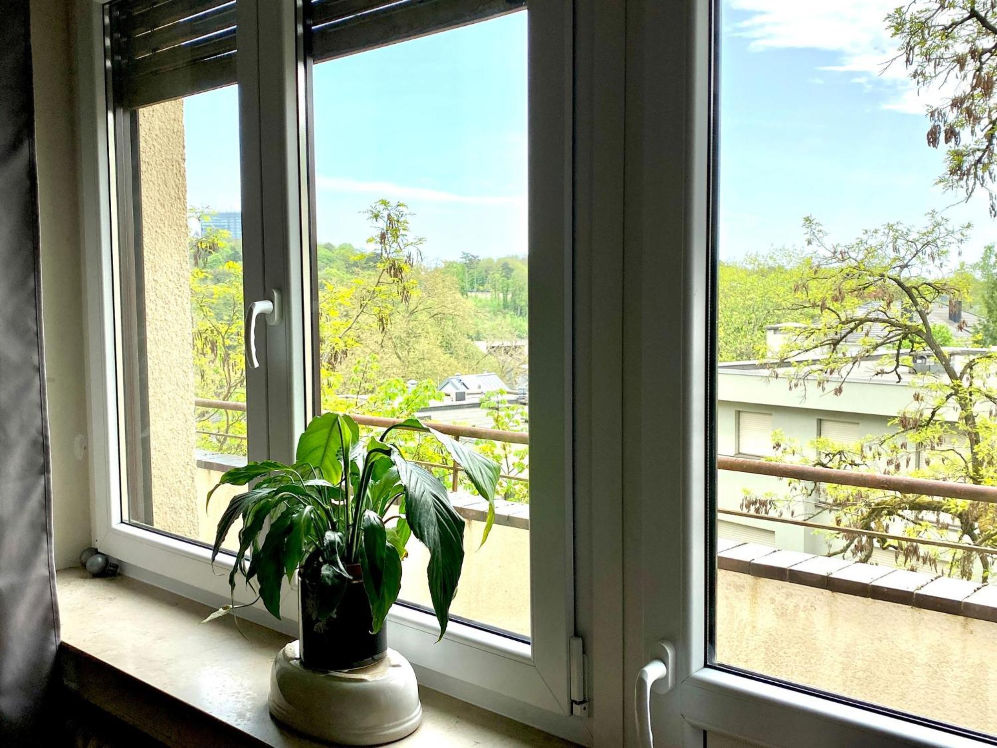 Guest house Rue Des Glacis Limpertsberg