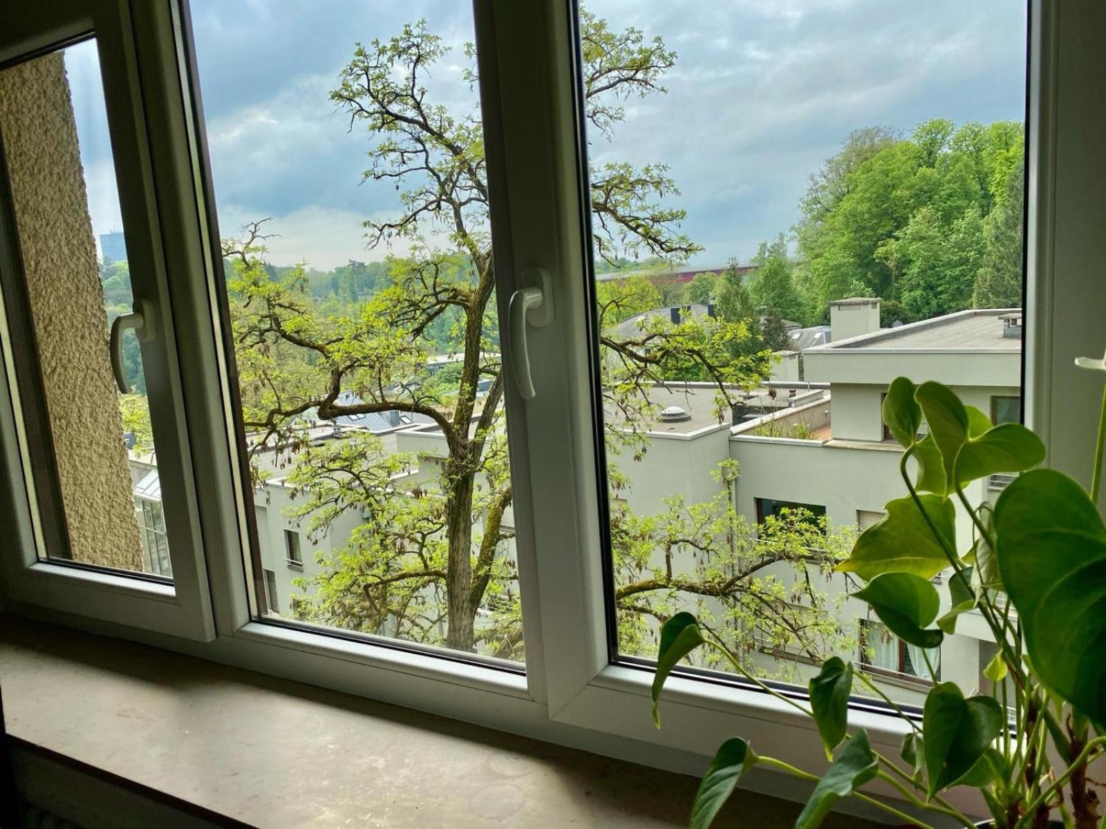 Gasthof Rue Des Glacis Limpertsberg *
